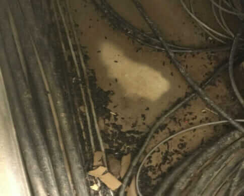 Bio-One Of Chattanooga, a team you can rely on.