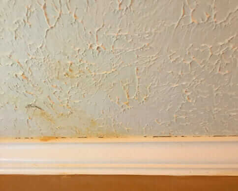 Bio-One Of Chattanooga, a team you can rely on.